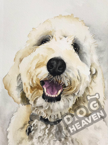 Dog Heaven™ Pet Portraits